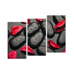 Модульная картина Черные камни красные лепестки