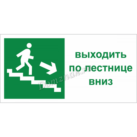 ТБ-087 - Табличка «Выходить по лестнице вниз»